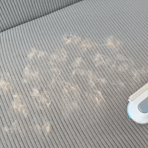 Pet Hair Lint Remover